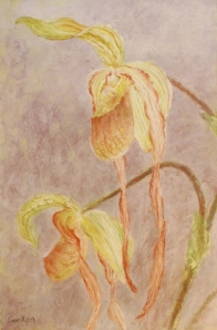 Phrag Geralda, soft pastel painting, orchid art